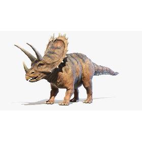 Pentaceratops model